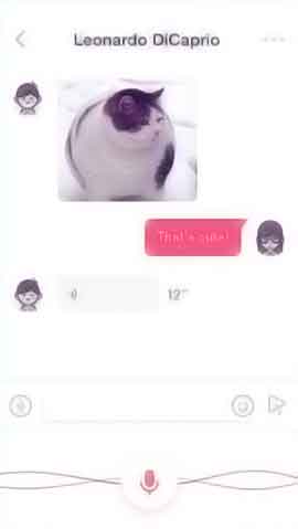 服务器攻击软件软件程序维护界面